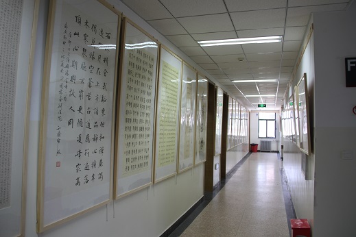 动漫色情片