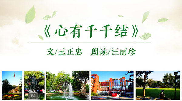 动漫色情片